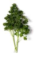 Curly-parsley